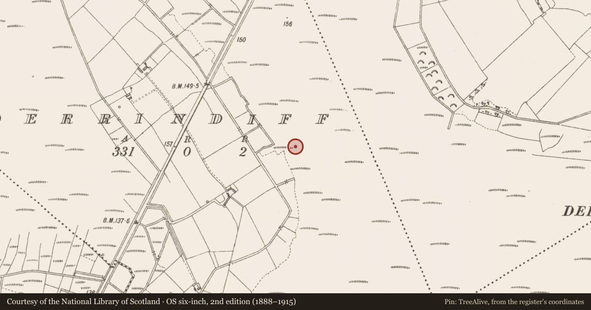 Ordnance Survey six-inch map, 2nd edition (1888–1915) covering the location of Road - class 3 togher, Derrindiff, County Longford, with a pin at the register's coordinates