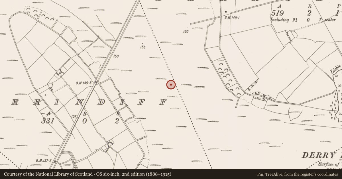 Ordnance Survey six-inch map, 2nd edition (1888–1915) covering the location of Road - class 3 togher, Derrindiff, County Longford, with a pin at the register's coordinates