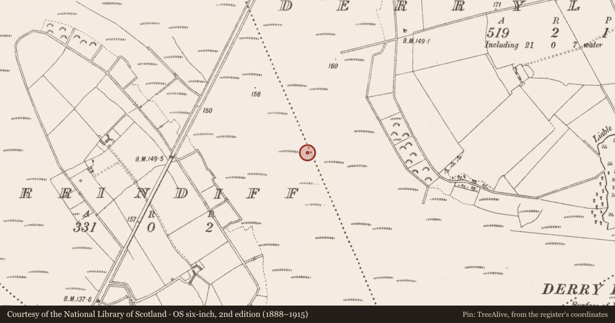 Ordnance Survey six-inch map, 2nd edition (1888–1915) covering the location of Road - class 3 togher, Derrindiff, County Longford, with a pin at the register's coordinates