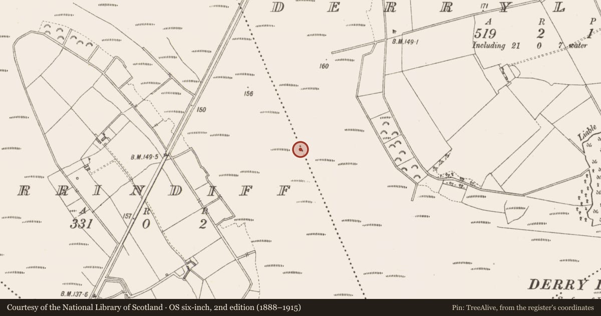 Ordnance Survey six-inch map, 2nd edition (1888–1915) covering the location of Road - class 3 togher, Derrindiff, County Longford, with a pin at the register's coordinates