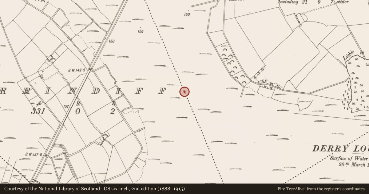 Ordnance Survey six-inch map, 2nd edition (1888–1915) covering the location of Road - class 3 togher, Derrindiff, County Longford, with a pin at the register's coordinates