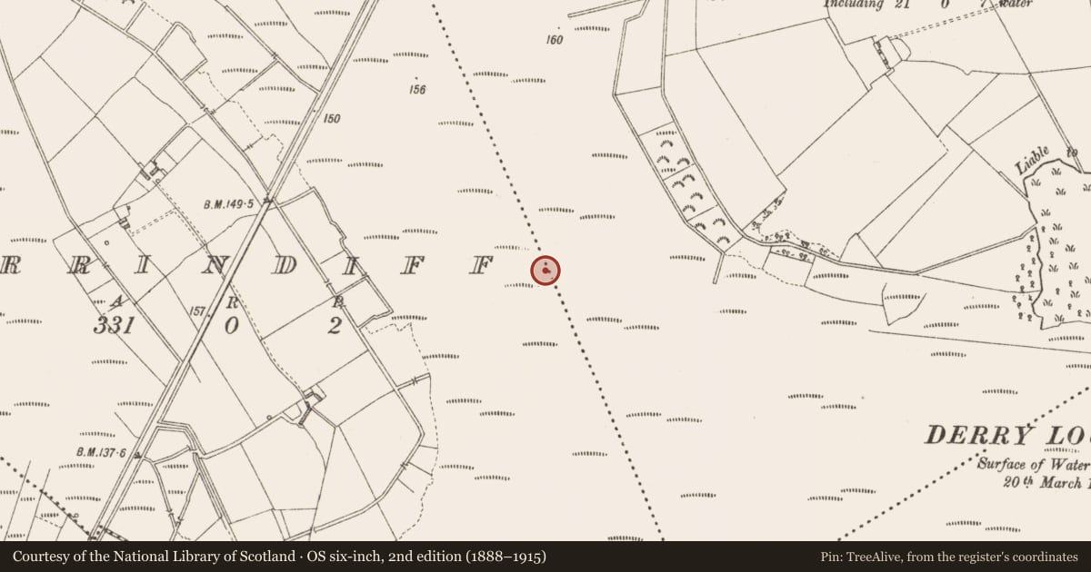 Ordnance Survey six-inch map, 2nd edition (1888–1915) covering the location of Road - class 3 togher, Derrindiff, County Longford, with a pin at the register's coordinates