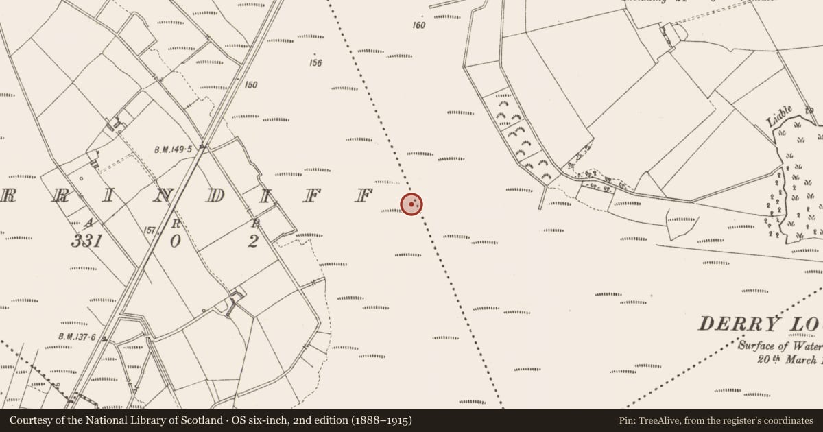 Ordnance Survey six-inch map, 2nd edition (1888–1915) covering the location of Road - class 3 togher, Derrindiff, County Longford, with a pin at the register's coordinates