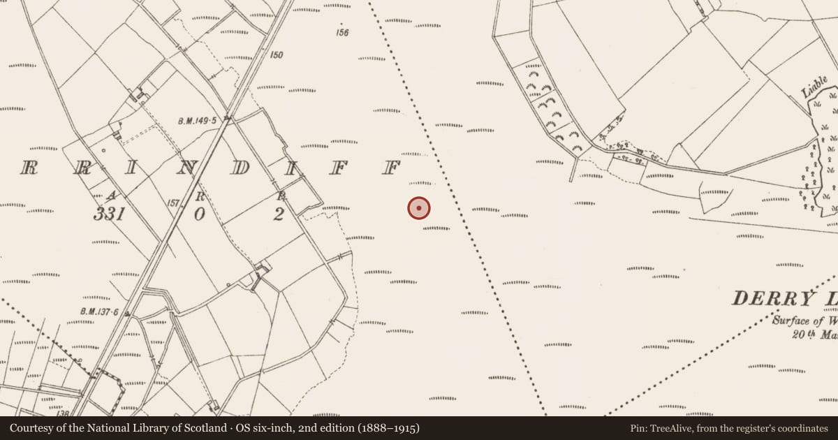Ordnance Survey six-inch map, 2nd edition (1888–1915) covering the location of Road - unclassified togher, Derrindiff, County Longford, with a pin at the register's coordinates