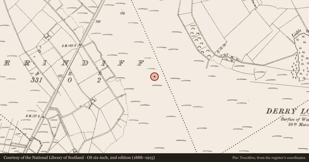 Ordnance Survey six-inch map, 2nd edition (1888–1915) covering the location of Road - class 1 togher, Derrindiff, Derrylough, County Longford, with a pin at the register's coordinates