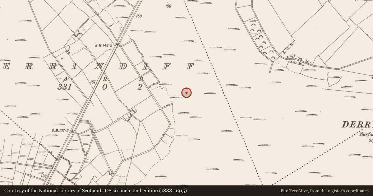 Ordnance Survey six-inch map, 2nd edition (1888–1915) covering the location of Road - class 3 togher, Derrindiff, County Longford, with a pin at the register's coordinates