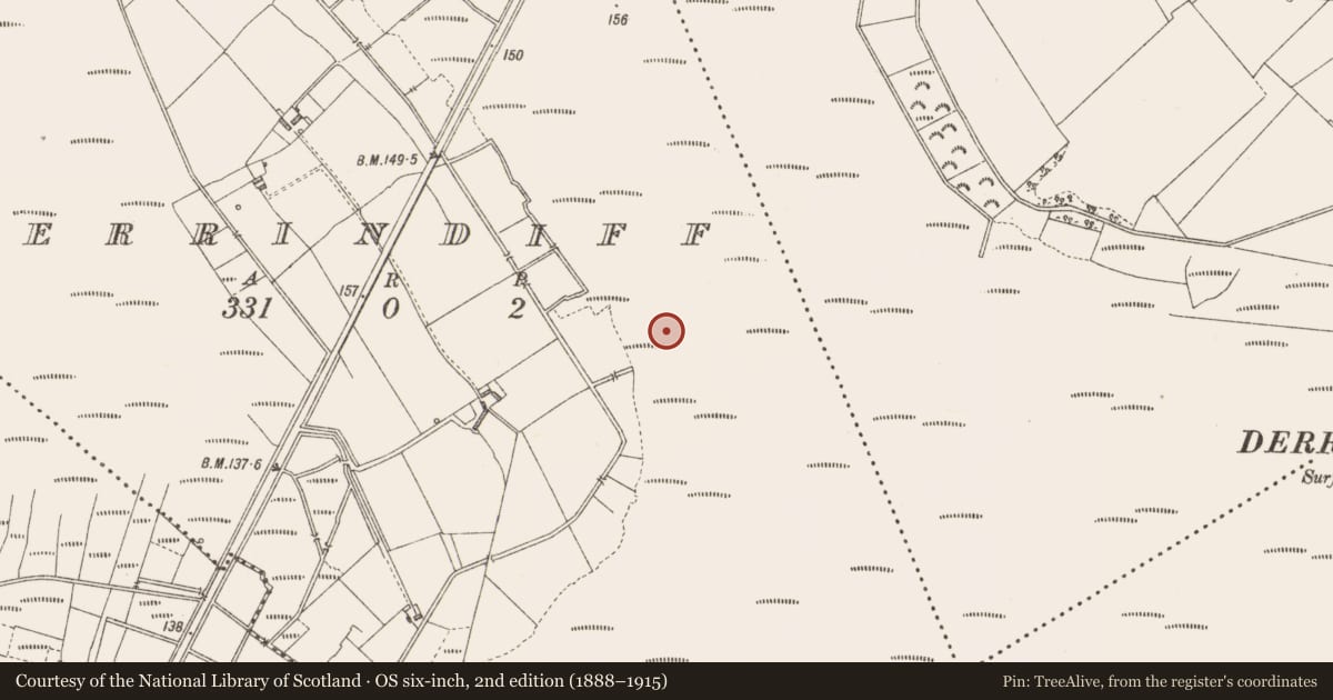 Ordnance Survey six-inch map, 2nd edition (1888–1915) covering the location of Road - class 3 togher, Derrindiff, County Longford, with a pin at the register's coordinates