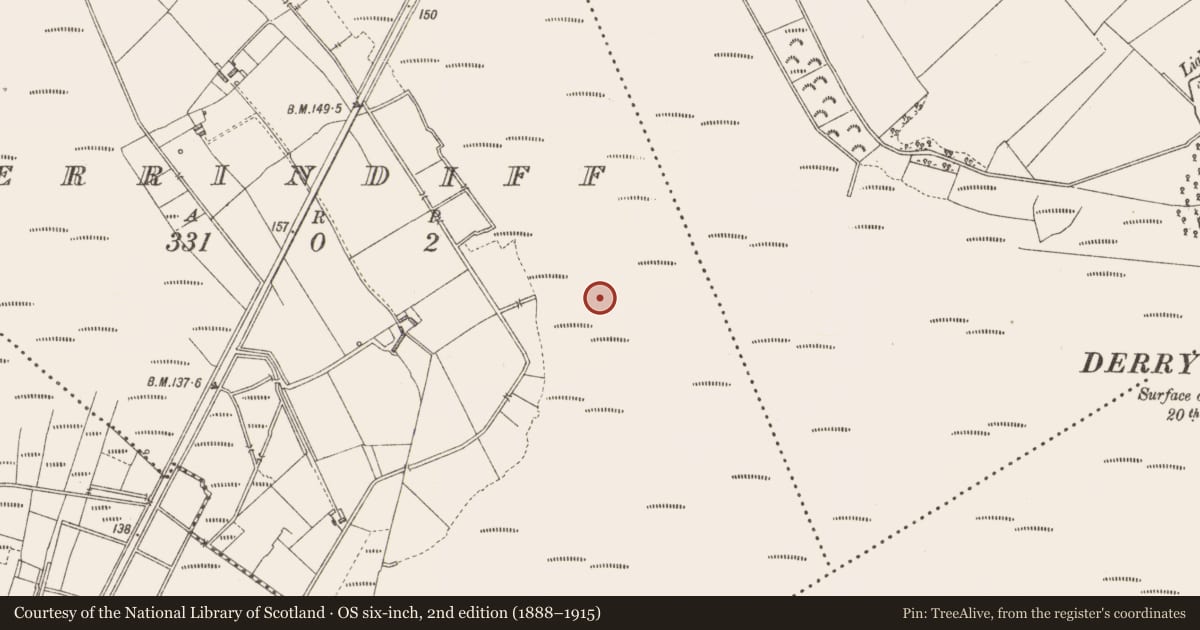 Ordnance Survey six-inch map, 2nd edition (1888–1915) covering the location of Road - class 3 togher, Derrindiff, County Longford, with a pin at the register's coordinates