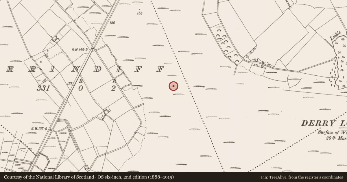 Ordnance Survey six-inch map, 2nd edition (1888–1915) covering the location of Road - class 3 togher, Derrindiff, County Longford, with a pin at the register's coordinates