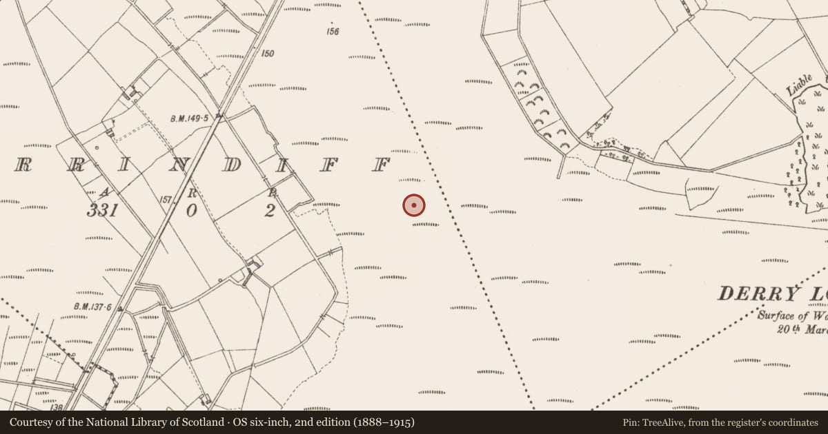 Ordnance Survey six-inch map, 2nd edition (1888–1915) covering the location of Road - class 3 togher, Derrindiff, County Longford, with a pin at the register's coordinates