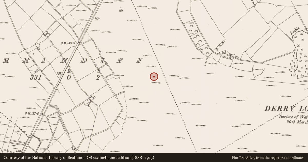 Ordnance Survey six-inch map, 2nd edition (1888–1915) covering the location of Road - class 3 togher, Derrindiff, County Longford, with a pin at the register's coordinates