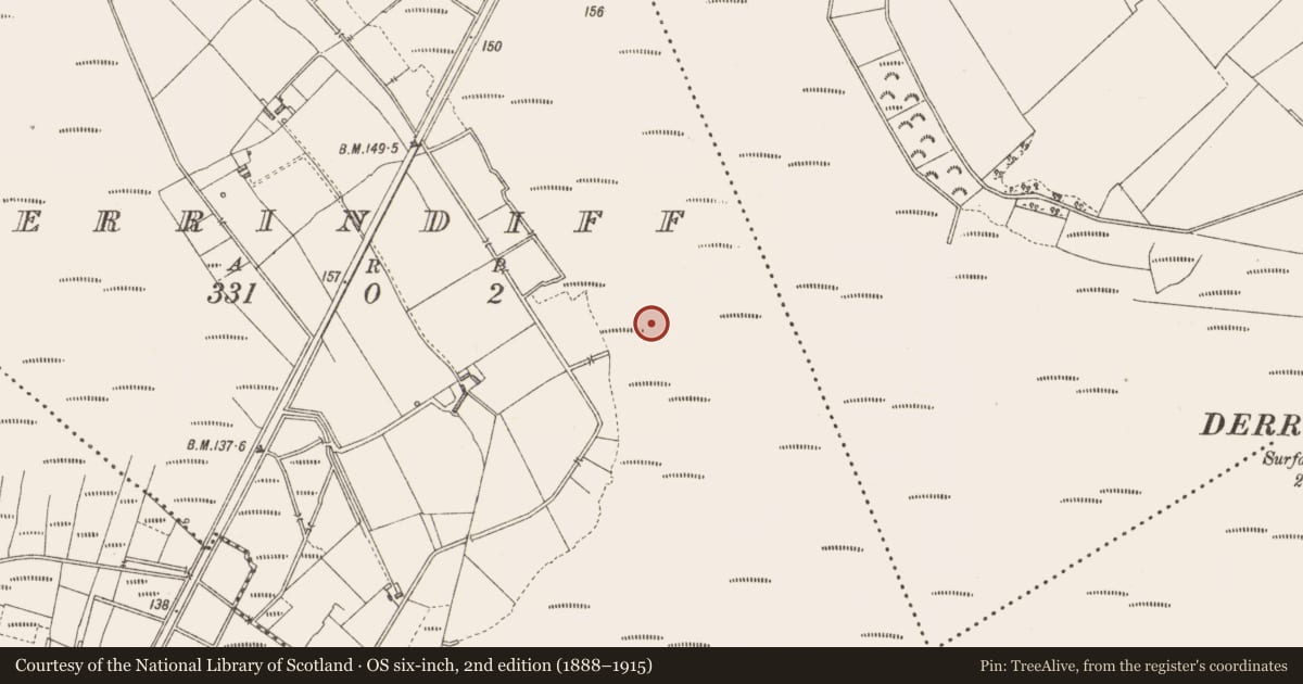 Ordnance Survey six-inch map, 2nd edition (1888–1915) covering the location of Road - class 3 togher, Derrindiff, County Longford, with a pin at the register's coordinates