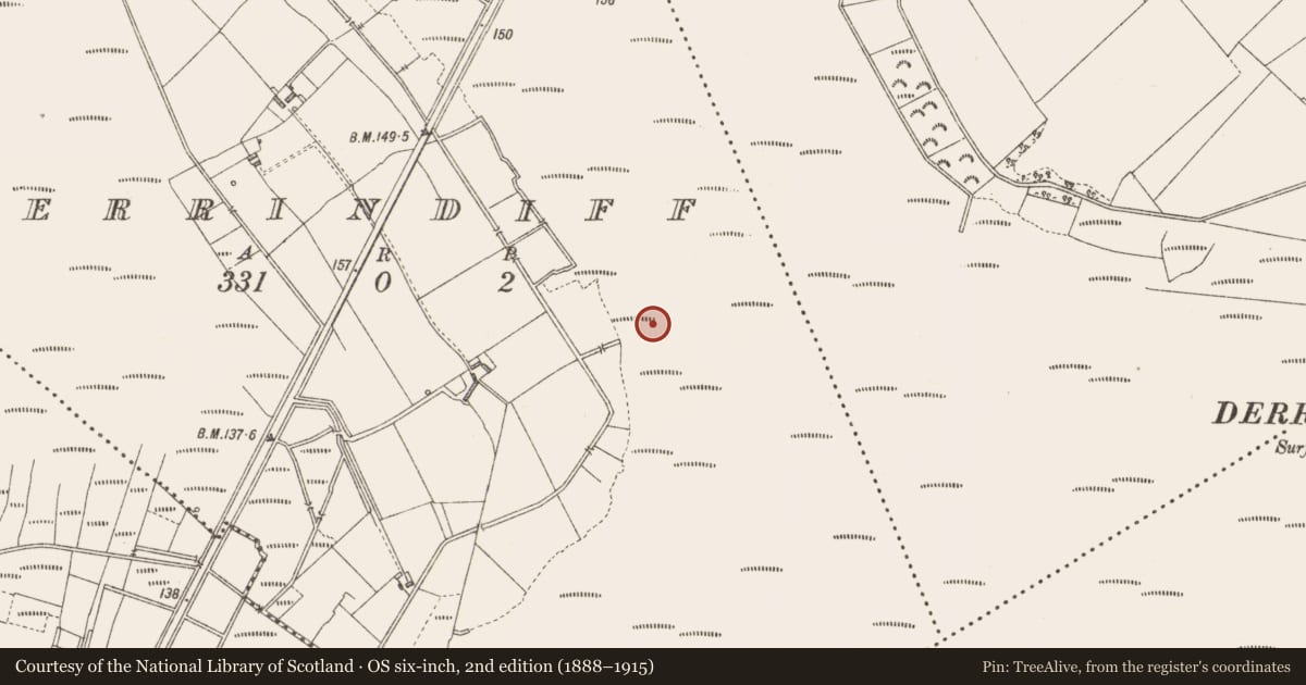 Ordnance Survey six-inch map, 2nd edition (1888–1915) covering the location of Road - class 3 togher, Derrindiff, County Longford, with a pin at the register's coordinates