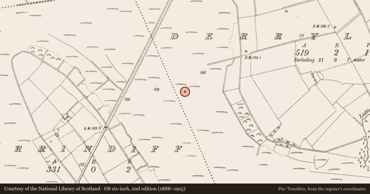 Ordnance Survey six-inch map, 2nd edition (1888–1915) covering the location of Road - class 3 togher, Derrylough, County Longford, with a pin at the register's coordinates