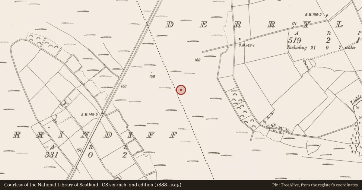 Ordnance Survey six-inch map, 2nd edition (1888–1915) covering the location of Road - class 3 togher, Derrylough, County Longford, with a pin at the register's coordinates