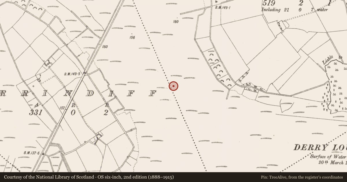 Ordnance Survey six-inch map, 2nd edition (1888–1915) covering the location of Road - class 3 togher, Derrylough, County Longford, with a pin at the register's coordinates