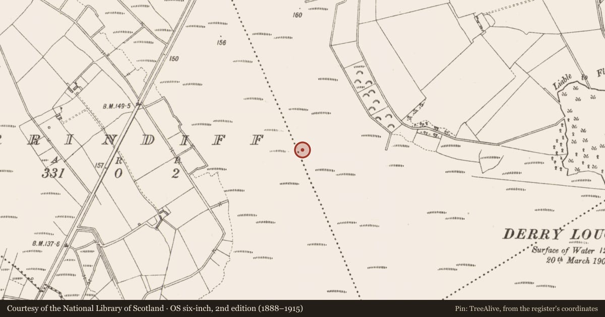 Ordnance Survey six-inch map, 2nd edition (1888–1915) covering the location of Road - class 3 togher, Derrylough, County Longford, with a pin at the register's coordinates