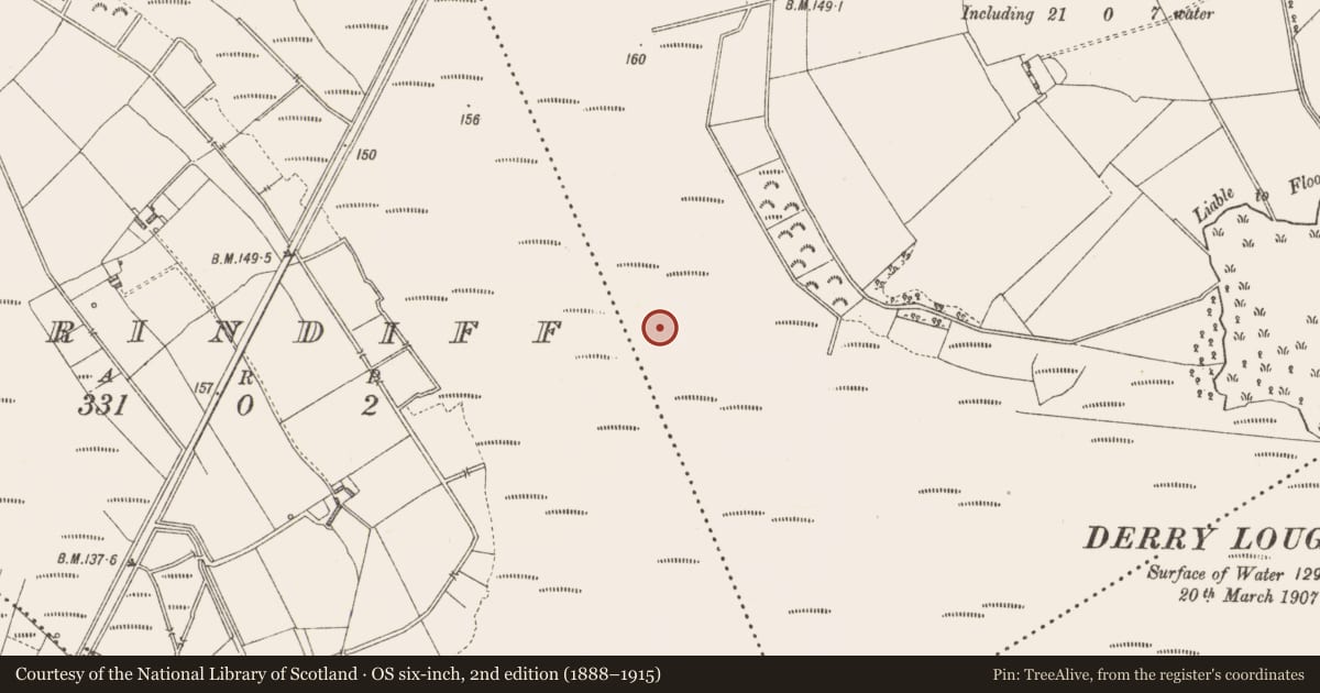 Ordnance Survey six-inch map, 2nd edition (1888–1915) covering the location of Road - class 3 togher, Derrylough, County Longford, with a pin at the register's coordinates