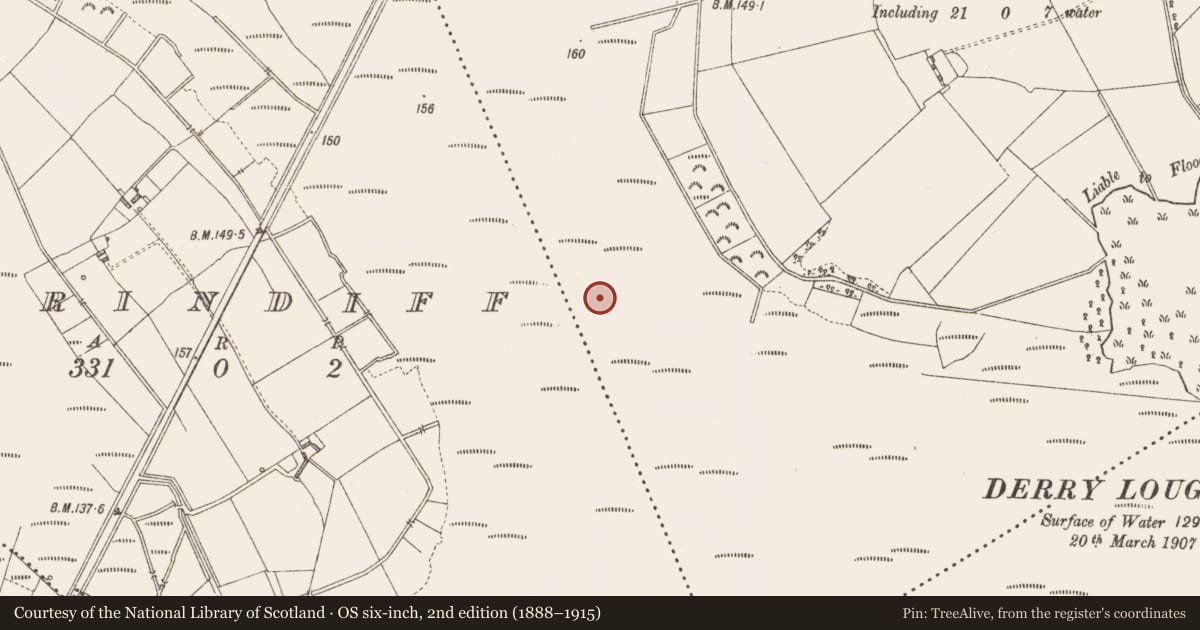 Ordnance Survey six-inch map, 2nd edition (1888–1915) covering the location of Road - class 3 togher, Derrylough, County Longford, with a pin at the register's coordinates