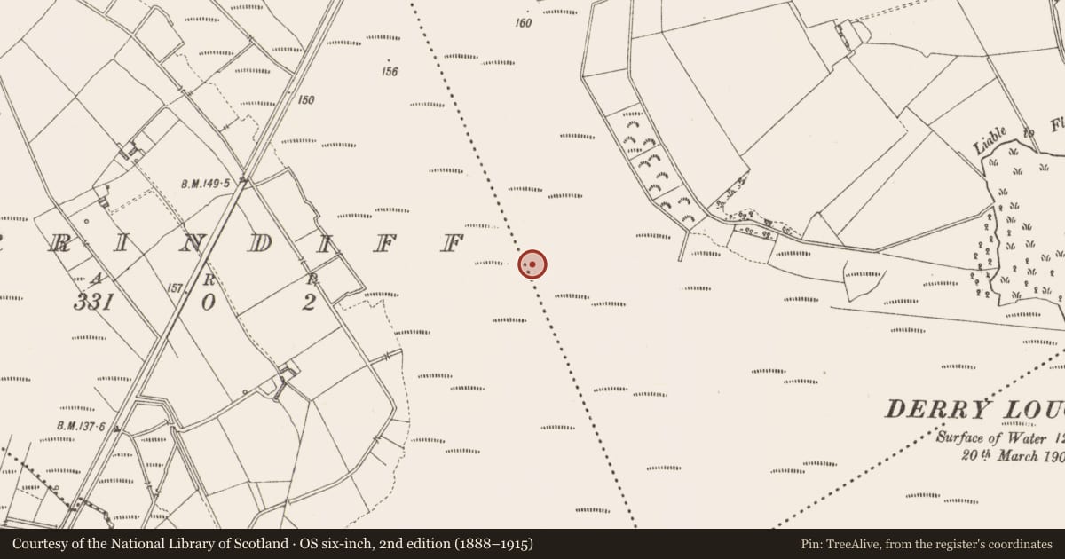Ordnance Survey six-inch map, 2nd edition (1888–1915) covering the location of Road - class 3 togher, Derrylough, County Longford, with a pin at the register's coordinates