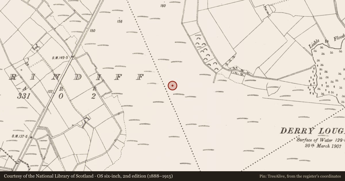 Ordnance Survey six-inch map, 2nd edition (1888–1915) covering the location of Road - class 2 togher, Derrylough, County Longford, with a pin at the register's coordinates