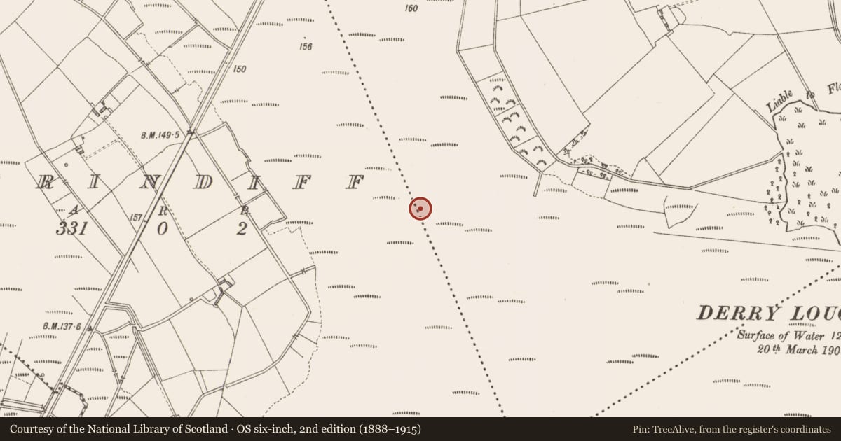 Ordnance Survey six-inch map, 2nd edition (1888–1915) covering the location of Road - class 3 togher, Derrylough, County Longford, with a pin at the register's coordinates