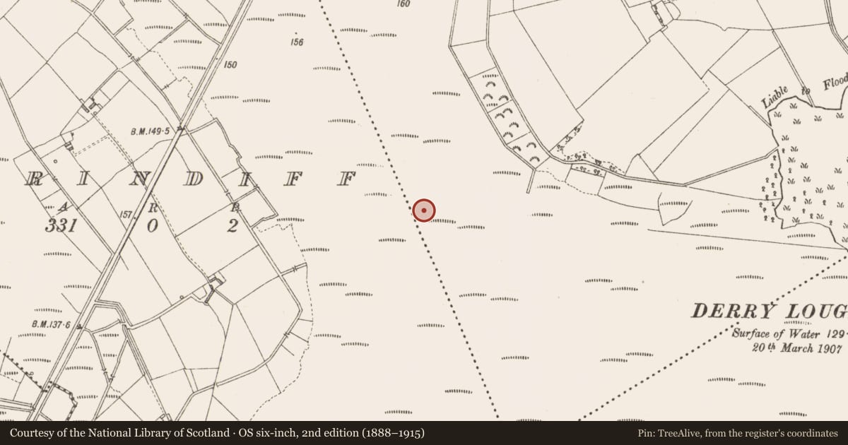 Ordnance Survey six-inch map, 2nd edition (1888–1915) covering the location of Road - class 2 togher, Derrylough, County Longford, with a pin at the register's coordinates