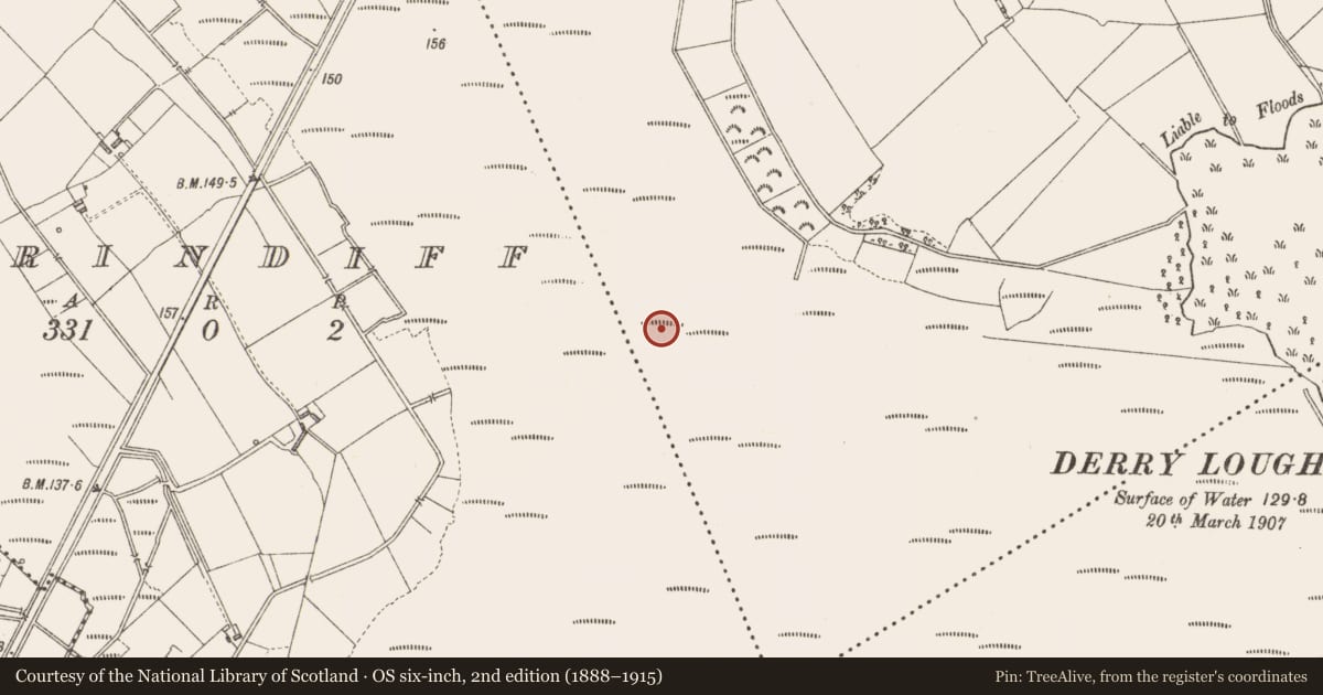 Ordnance Survey six-inch map, 2nd edition (1888–1915) covering the location of Road - class 3 togher, Derrylough, County Longford, with a pin at the register's coordinates