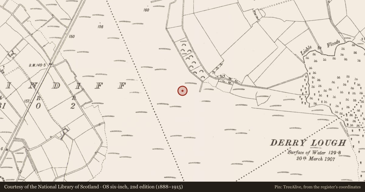 Ordnance Survey six-inch map, 2nd edition (1888–1915) covering the location of Road - class 3 togher, Derrylough, County Longford, with a pin at the register's coordinates
