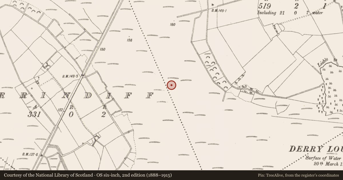 Ordnance Survey six-inch map, 2nd edition (1888–1915) covering the location of Road - class 3 togher, Derrylough, County Longford, with a pin at the register's coordinates