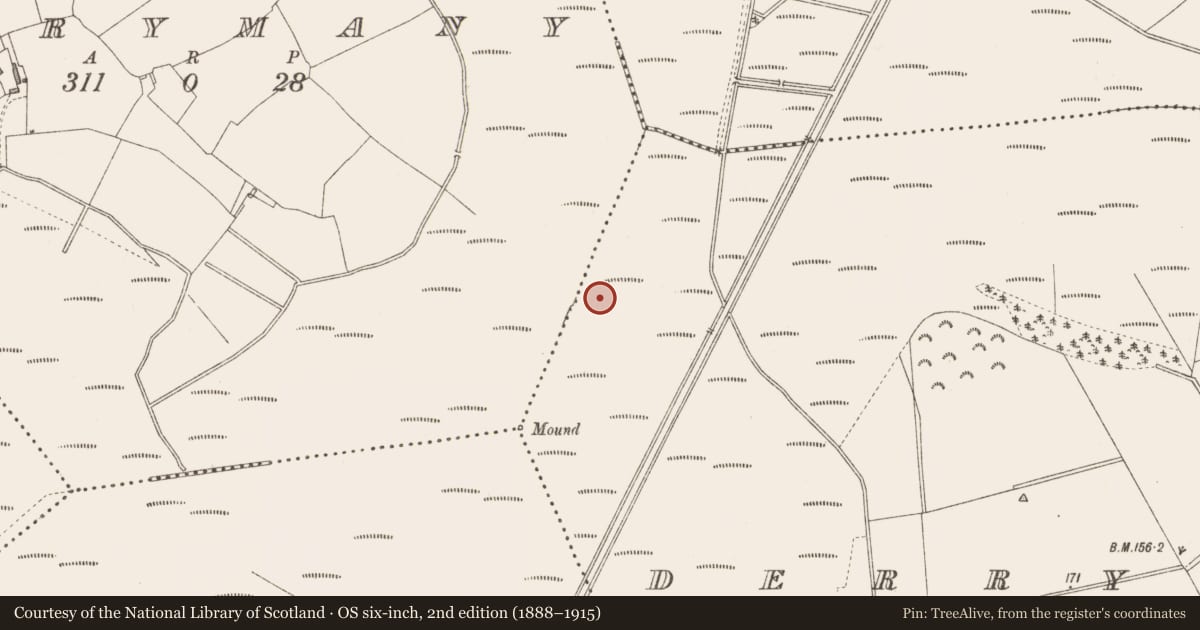 Ordnance Survey six-inch map, 2nd edition (1888–1915) covering the location of Road - class 3 togher, Derrylough, County Longford, with a pin at the register's coordinates