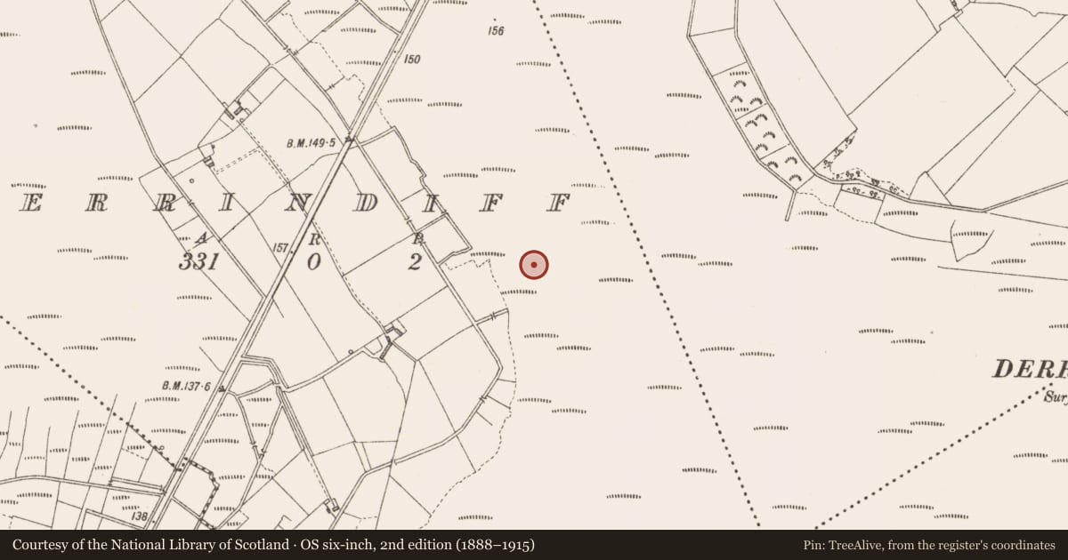 Ordnance Survey six-inch map, 2nd edition (1888–1915) covering the location of Road - class 3 togher, Derrindiff, County Longford, with a pin at the register's coordinates