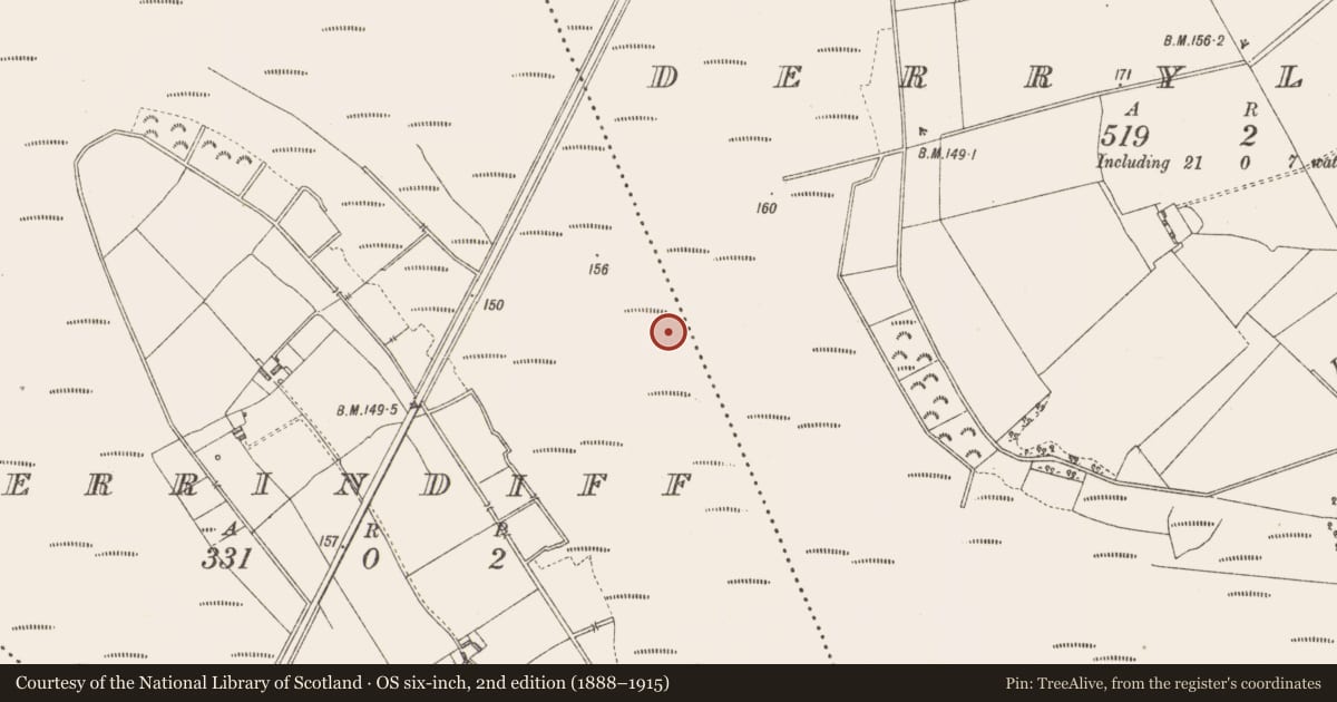 Ordnance Survey six-inch map, 2nd edition (1888–1915) covering the location of Structure - peatland, Derrindiff, County Longford, with a pin at the register's coordinates