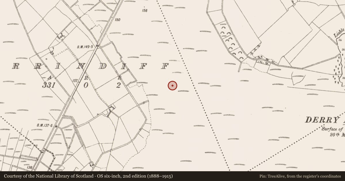 Ordnance Survey six-inch map, 2nd edition (1888–1915) covering the location of Road - class 3 togher, Derrindiff, County Longford, with a pin at the register's coordinates