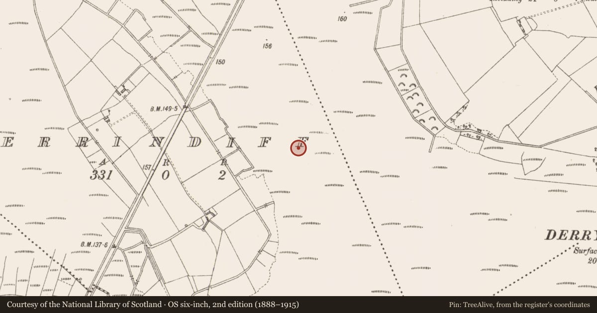 Ordnance Survey six-inch map, 2nd edition (1888–1915) covering the location of Structure - peatland, Derrindiff, County Longford, with a pin at the register's coordinates