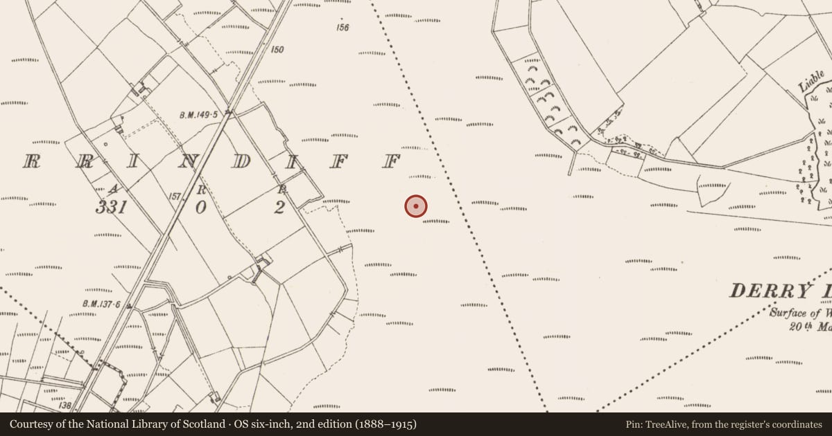 Ordnance Survey six-inch map, 2nd edition (1888–1915) covering the location of Road - class 3 togher, Derrindiff, County Longford, with a pin at the register's coordinates