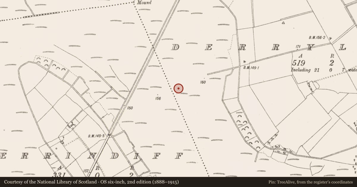 Ordnance Survey six-inch map, 2nd edition (1888–1915) covering the location of Road - class 3 togher, Derrylough, County Longford, with a pin at the register's coordinates