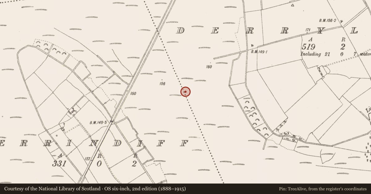 Ordnance Survey six-inch map, 2nd edition (1888–1915) covering the location of Structure - peatland, Derrylough, County Longford, with a pin at the register's coordinates