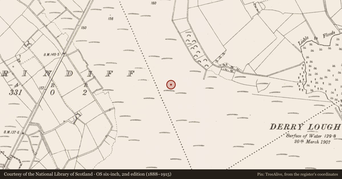 Ordnance Survey six-inch map, 2nd edition (1888–1915) covering the location of Road - class 3 togher, Derrylough, County Longford, with a pin at the register's coordinates