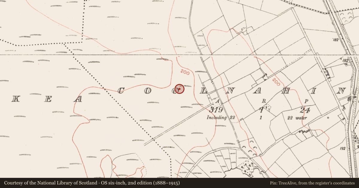 Ordnance Survey six-inch map, 2nd edition (1888–1915) covering the location of Road - class 2 togher, Coolnahinch, County Longford, with a pin at the register's coordinates
