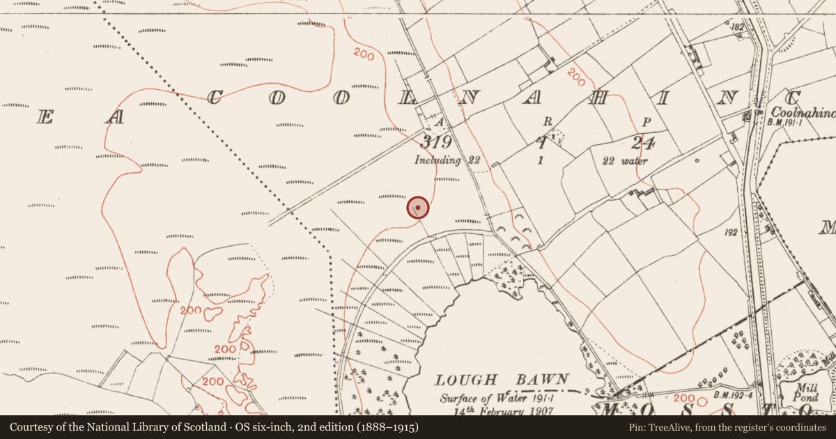 Ordnance Survey six-inch map, 2nd edition (1888–1915) covering the location of Road - class 3 togher, Coolnahinch, County Longford, with a pin at the register's coordinates
