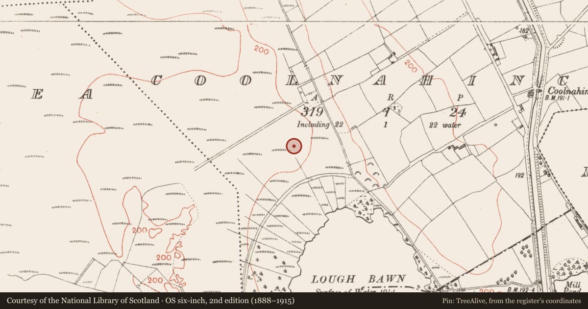 Ordnance Survey six-inch map, 2nd edition (1888–1915) covering the location of Road - class 3 togher, Coolnahinch, County Longford, with a pin at the register's coordinates