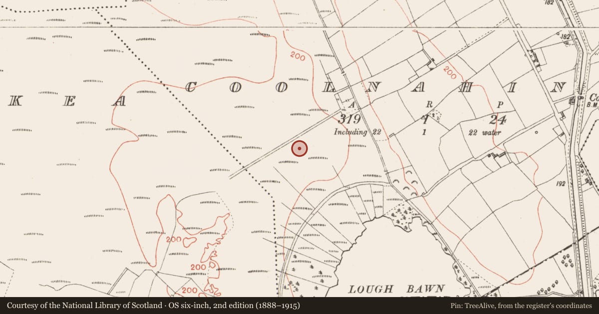 Ordnance Survey six-inch map, 2nd edition (1888–1915) covering the location of Road - class 3 togher, Coolnahinch, County Longford, with a pin at the register's coordinates