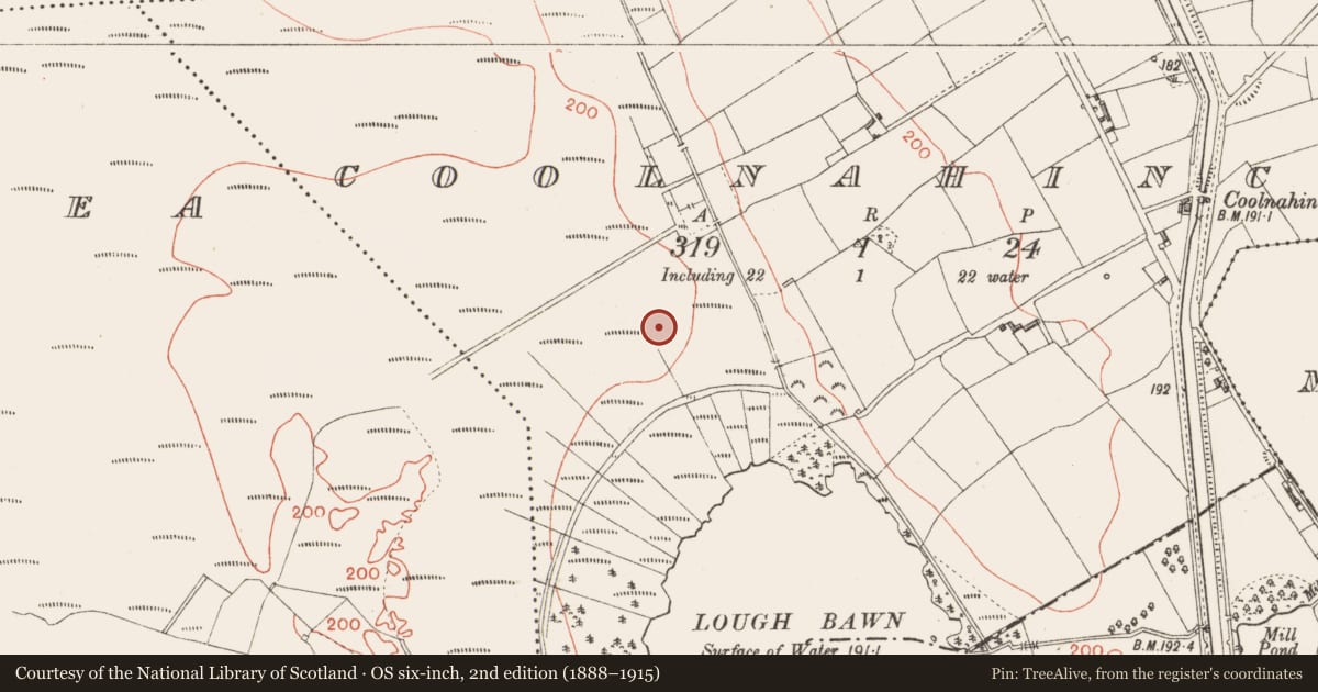 Ordnance Survey six-inch map, 2nd edition (1888–1915) covering the location of Road - class 3 togher, Coolnahinch, County Longford, with a pin at the register's coordinates