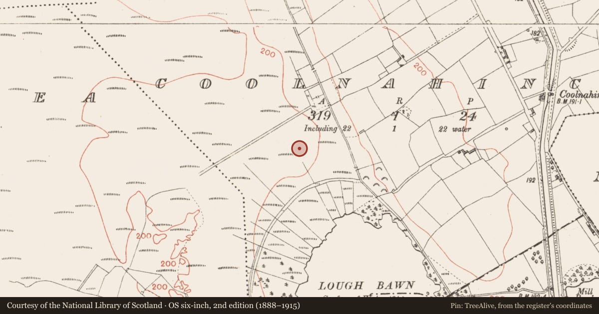 Ordnance Survey six-inch map, 2nd edition (1888–1915) covering the location of Road - class 3 togher, Coolnahinch, County Longford, with a pin at the register's coordinates