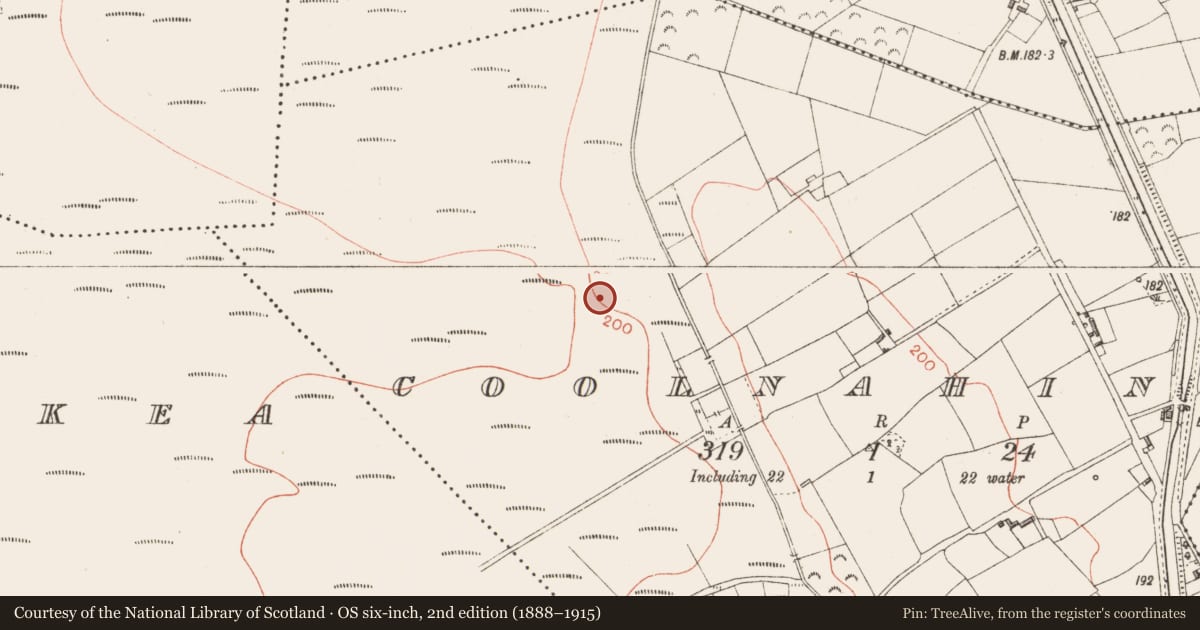 Ordnance Survey six-inch map, 2nd edition (1888–1915) covering the location of Structure - peatland, Coolnahinch, County Longford, with a pin at the register's coordinates