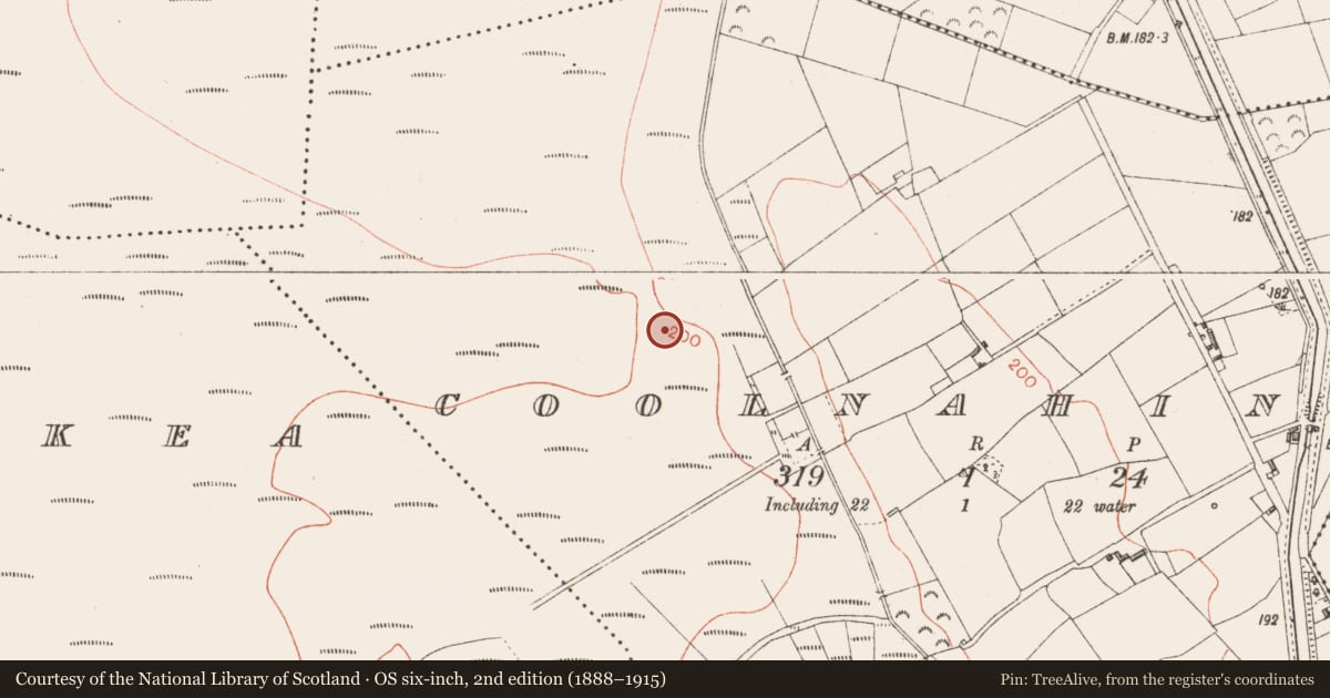 Ordnance Survey six-inch map, 2nd edition (1888–1915) covering the location of Structure - peatland, Coolnahinch, County Longford, with a pin at the register's coordinates