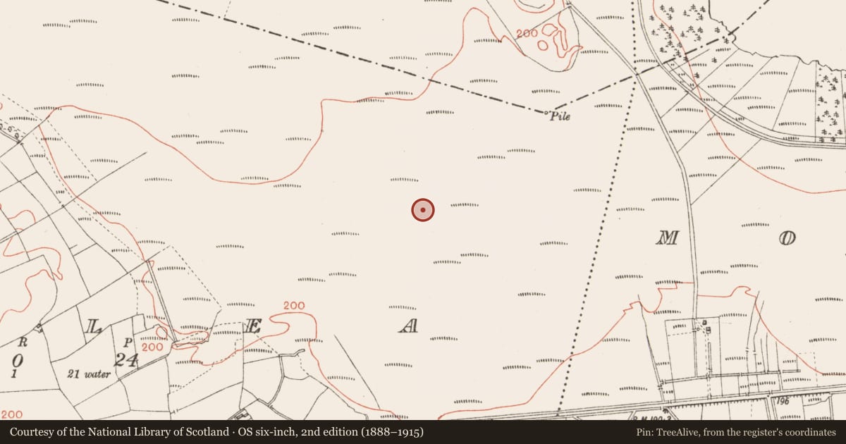 Ordnance Survey six-inch map, 2nd edition (1888–1915) covering the location of Road - class 2 togher, Corlea, County Longford, with a pin at the register's coordinates
