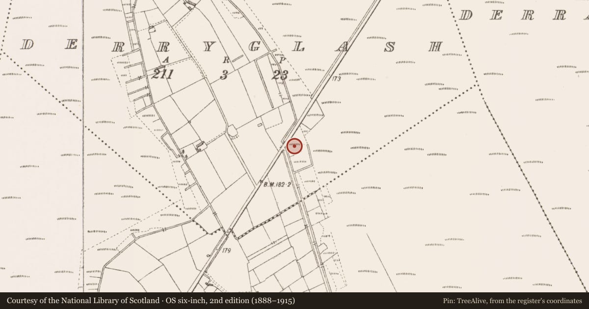 Ordnance Survey six-inch map, 2nd edition (1888–1915) covering the location of Cist, Derryglash, County Longford, with a pin at the register's coordinates