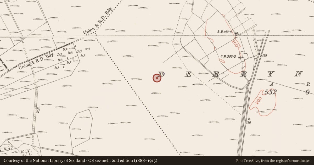 Ordnance Survey six-inch map, 2nd edition (1888–1915) covering the location of Road - class 3 togher, Derrynaskea, County Longford, with a pin at the register's coordinates